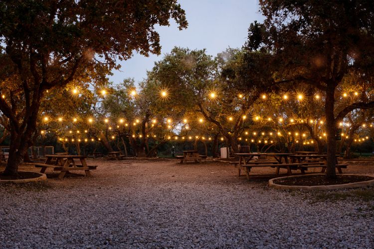 The Oak Grove